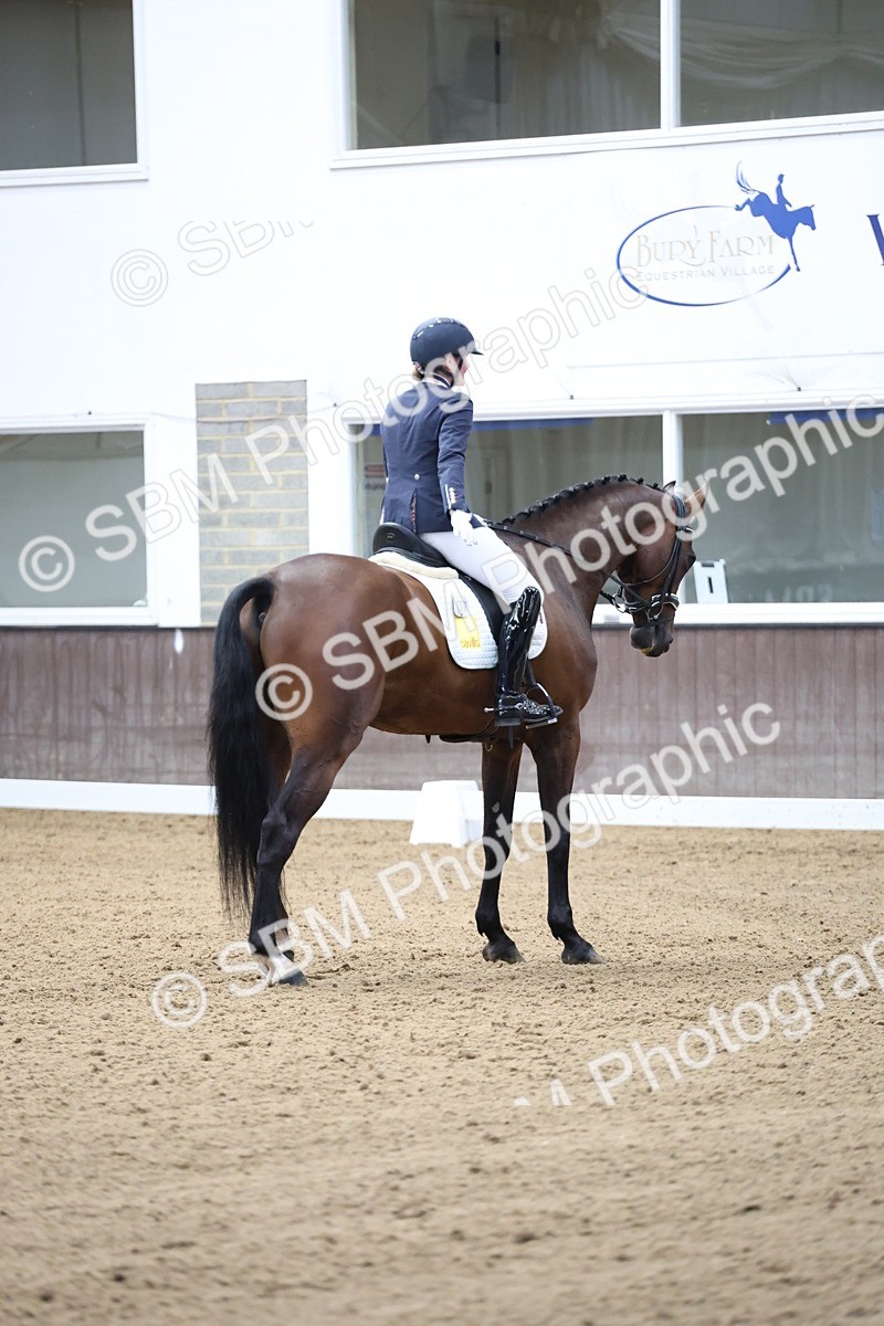SBM_002127 - Class 5 - Novice 6 Gold - 9.00-10.10