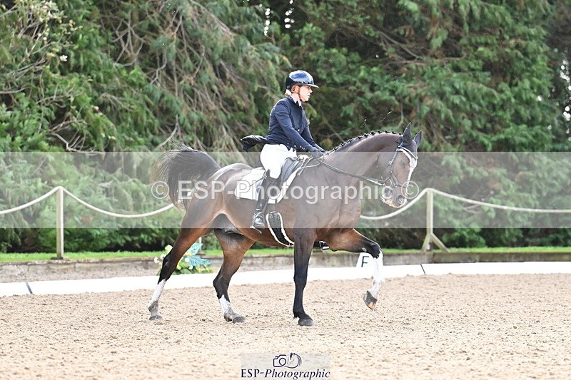 251023A-105105-01105 - C-223-Toots.Bartlett