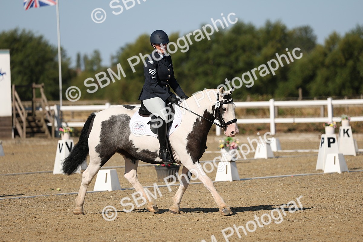 SBM_012716 - Class 1 - P5 Bronze 9.00.10.12
