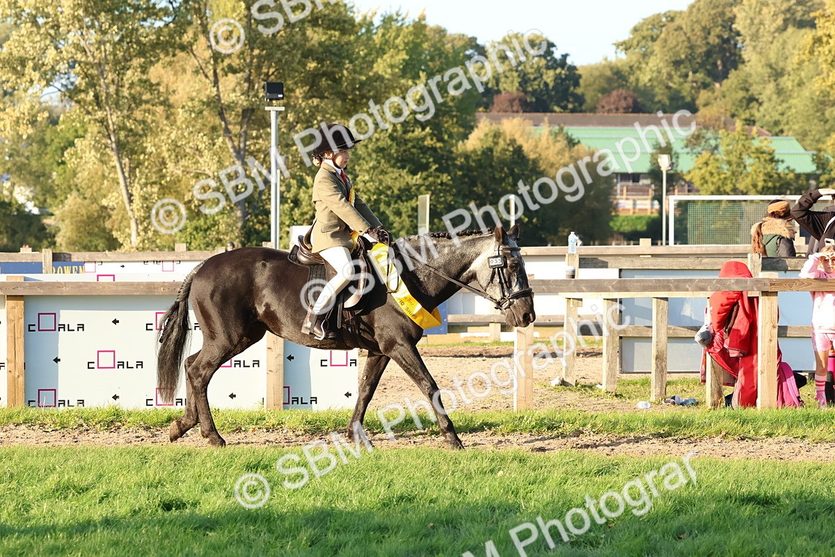 SBM_53109 - Veteran Supreme Championship