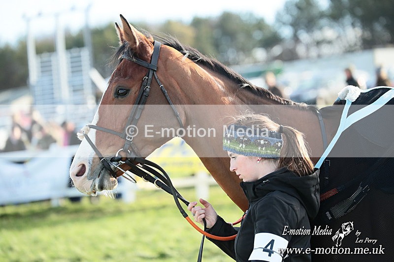 PtP 141225  1510 - New Forest Hounds PtP Larkhill 14/12/25