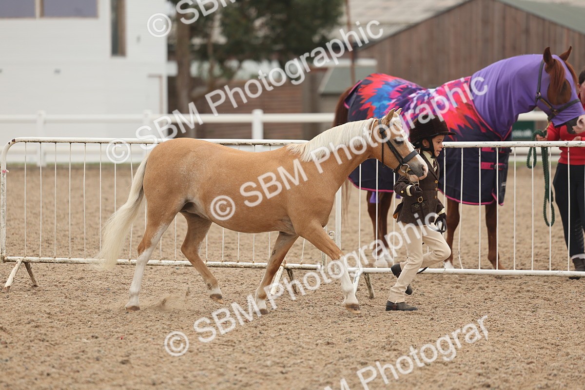 SBM_00531 - Class 13 Young Handler