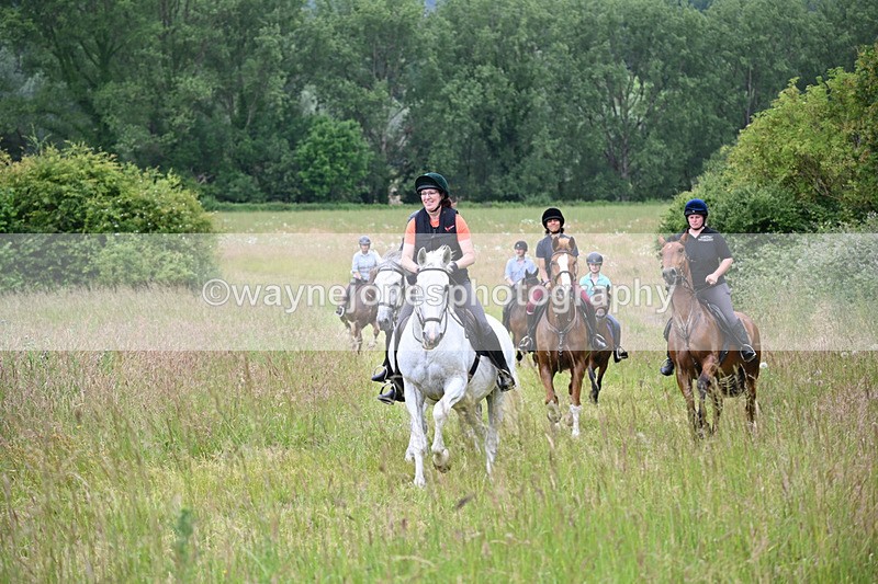 WJ6_8406 - Camera 1 Gallops