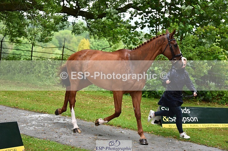 240522-151950-00266 - 322-CHILLI_KING-Gemma_Stevens