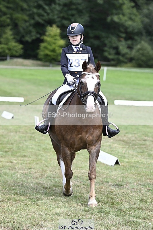 250821A-122945-15561 - DR 11.00 to 12.00