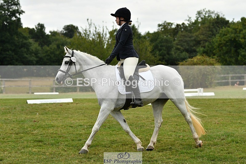 250820A-121655-05529 - 12 to 13.00