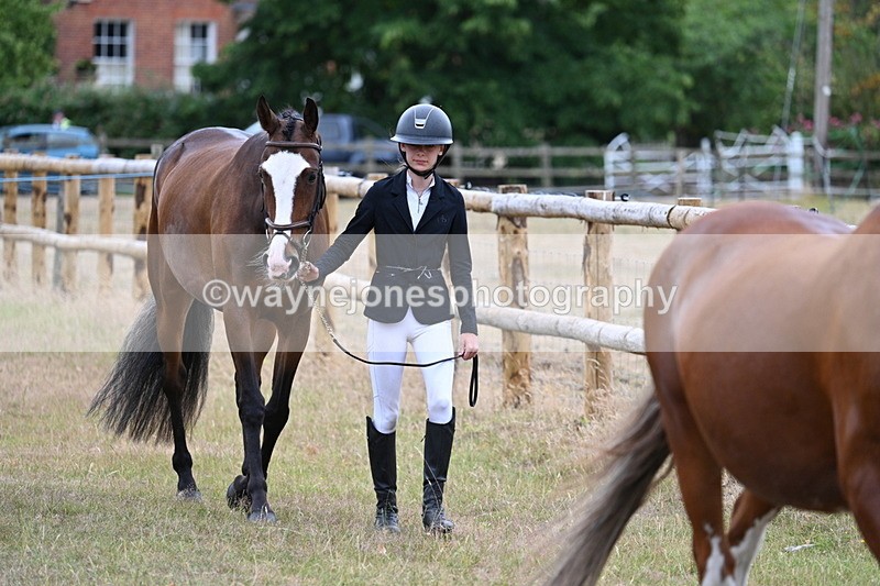 WJ7_9043 - Class 4a Prettiest Mare 14.2hh and over