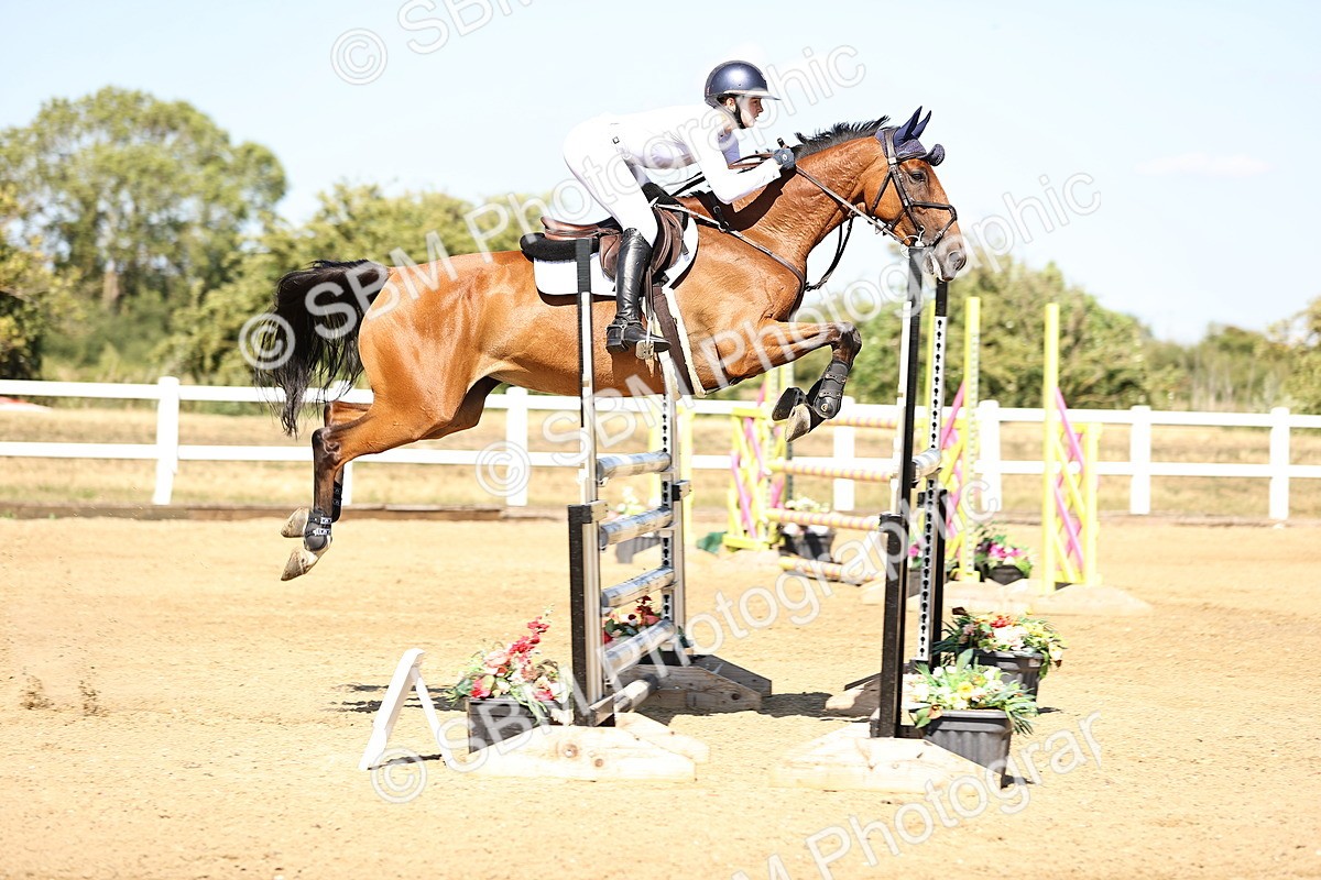 SBM_015646 - Class 16 - Senior foxhunter - 1.20m Open