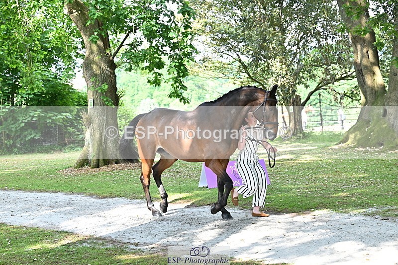 250521A-164058-01277 - C-252-Zoe.Boyles-SAM