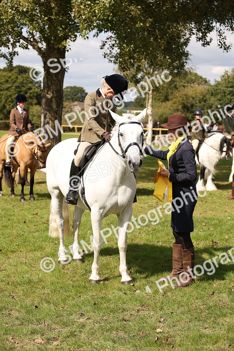 SBM_42387 - S13 - Pony Club Pony