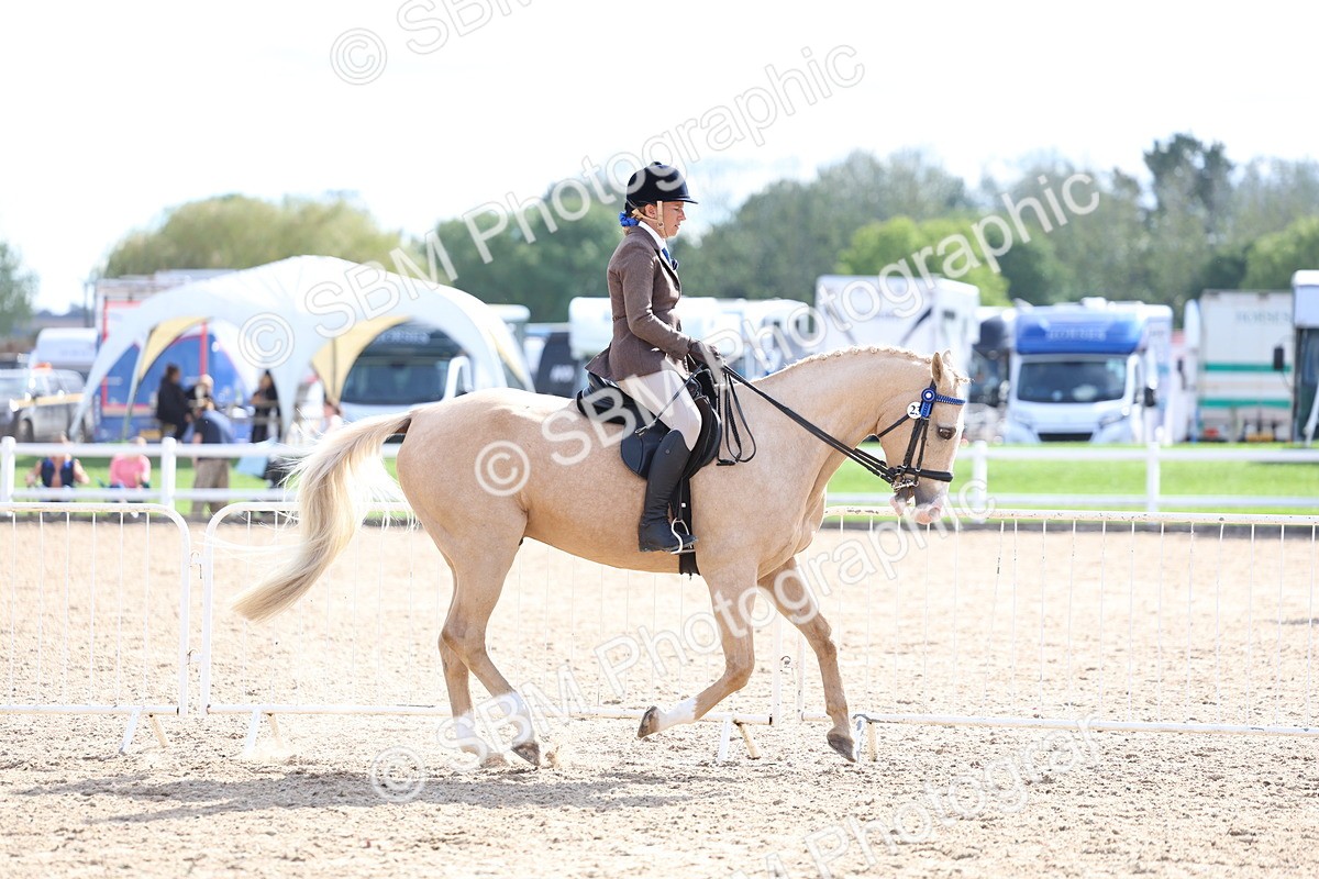 SBM_17117 - Class 315 - Best Horse - Rider Combination