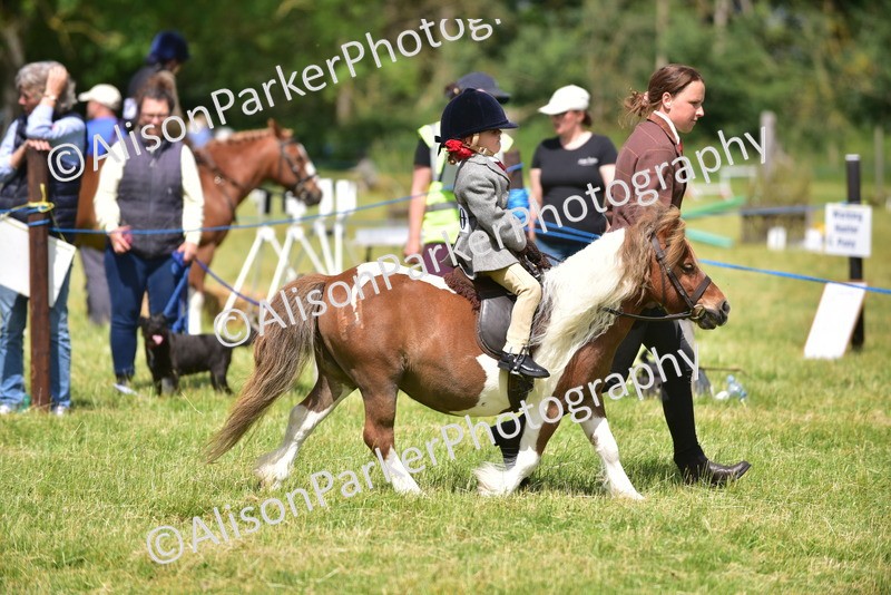 20260614-1169 - Class 11a - Lead Rein Pony (Unplaited)