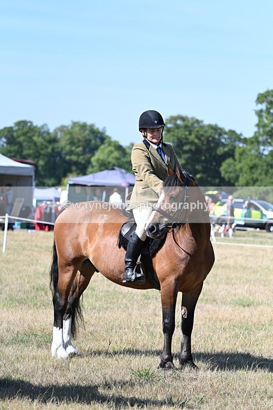 WJ7_3698 - Class 9 Mountain & Moorland Ridden