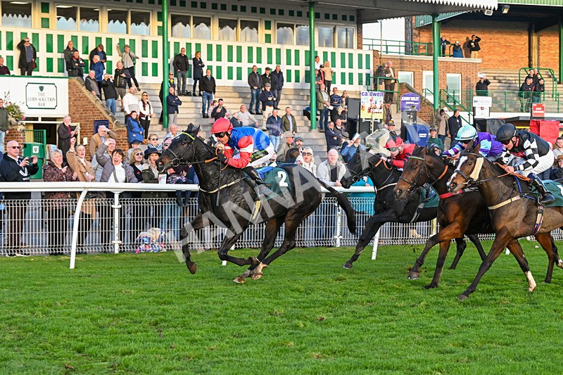 291024-Race 7-Crocodile Power-6497 - Race 7