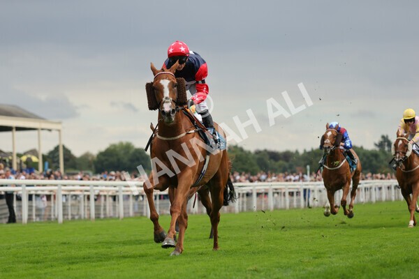 yr04092022r5-33 - Race 5 4.05pm Little Green Rascals Children's Nurseries Stakes