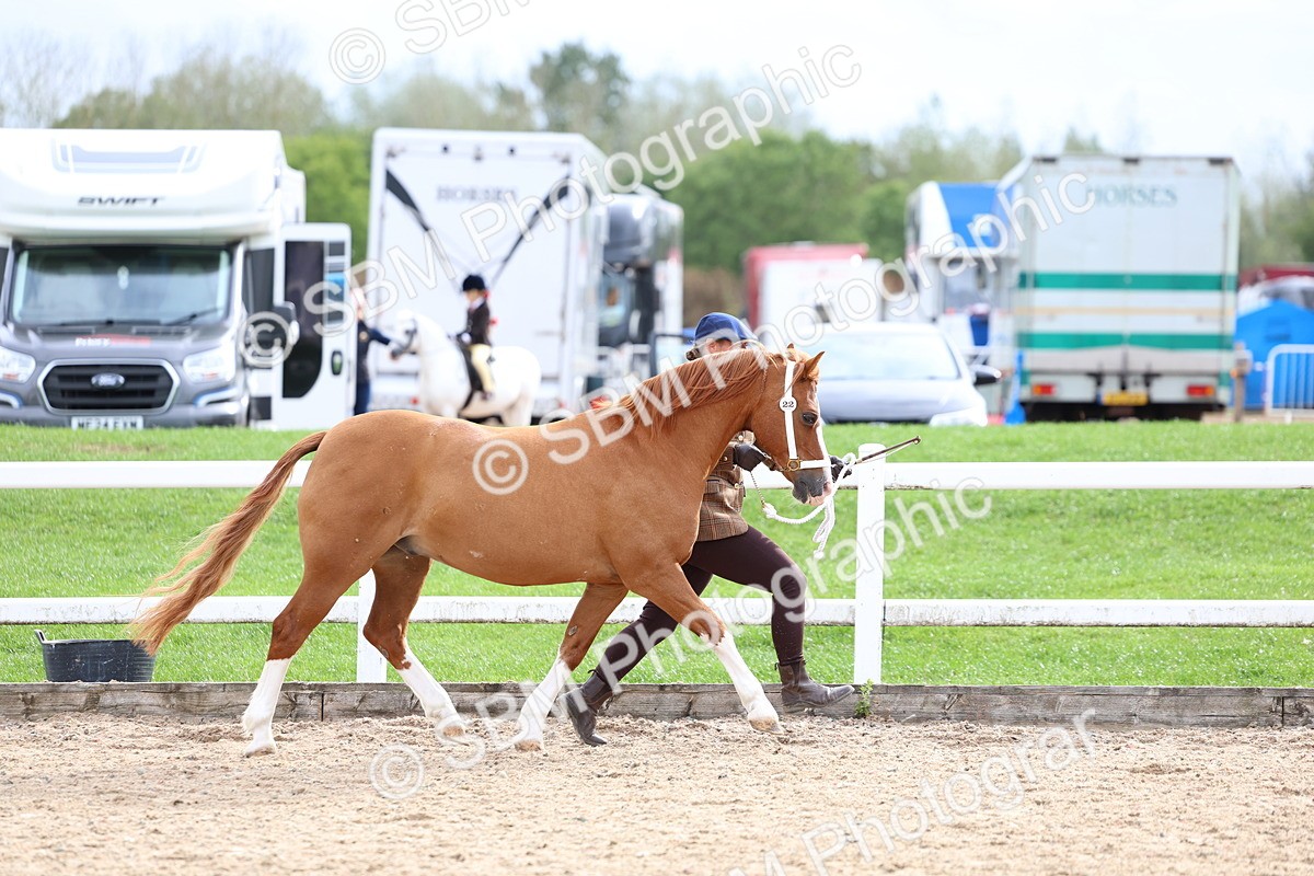 SBM_05833 - Class 29 - IH Veteran Pony