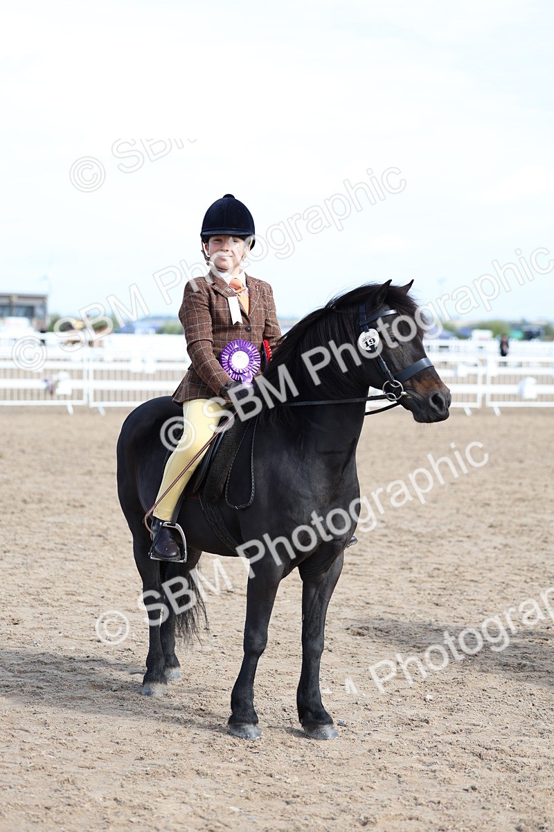 SBM_01924 - Class 18 - Handsomest Gelding - IH or Ridden