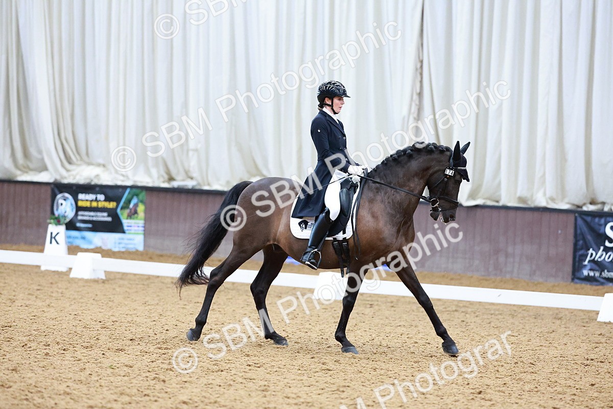SBM_001081 - Class 12-19-16 - Lusitania-FEI INT I - PYO ADV 1