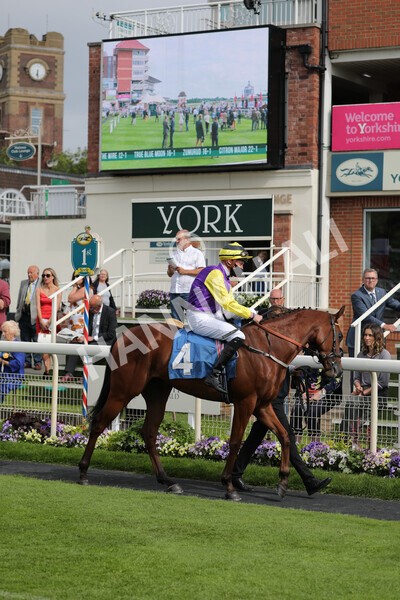 yr11062021r6-16 - Race 6 4.35pm Irish Thoroughbred Marketing Stakes