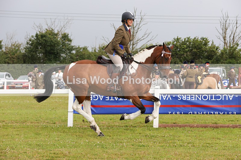 1X9A2959 - Class 25: Ridden Plaited Coloured Horse