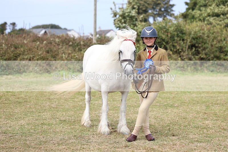 3E7A5318 - Class 18: Veteran in Hand