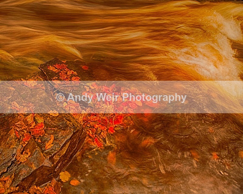 20121028-_MG_0683_HDR - England