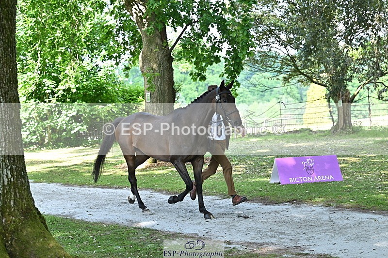 250521A-155123-00801 - B-373-Ben.Lee.Liles-FINCH.FANCY