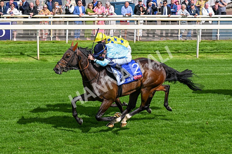 120626-Race 5-Antipodes-0308 - Race 5 16.10pm Sky Bet The World's Gone Football Handicap
