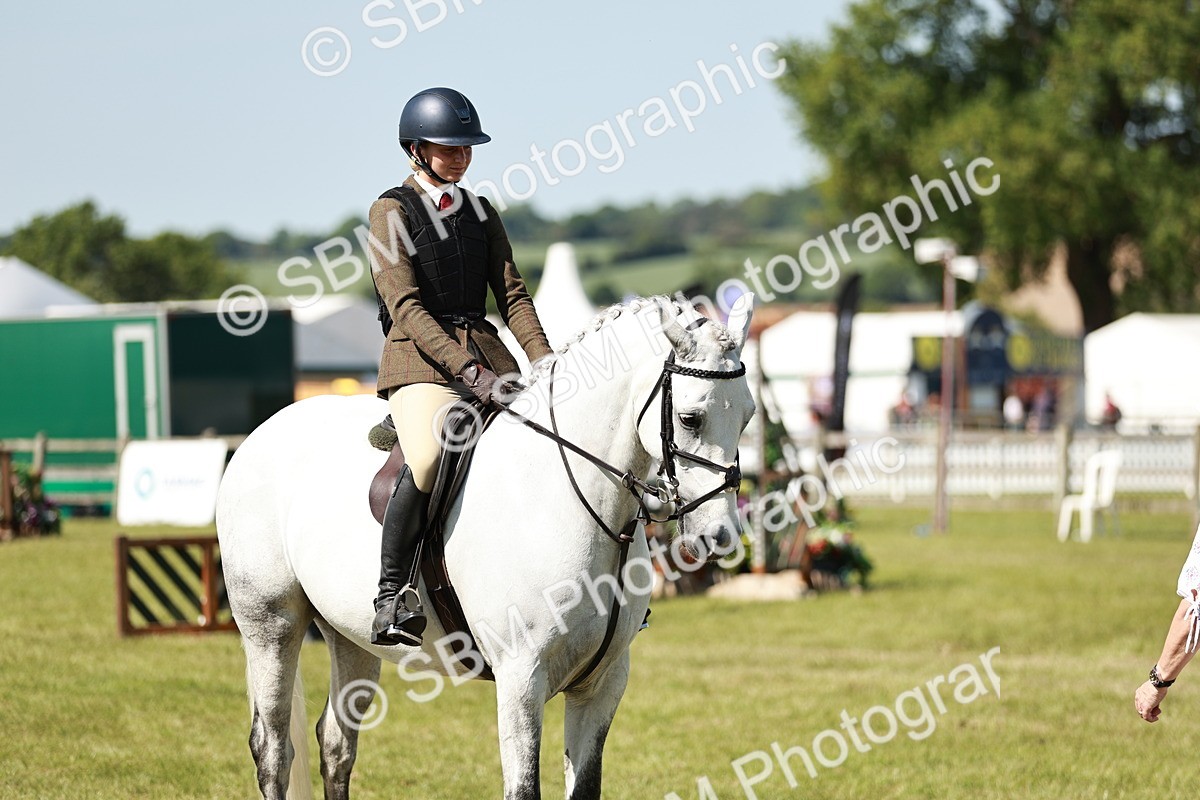 SBM_18435 - Class 112-113 - BSPS LIHS Working Sports Pony