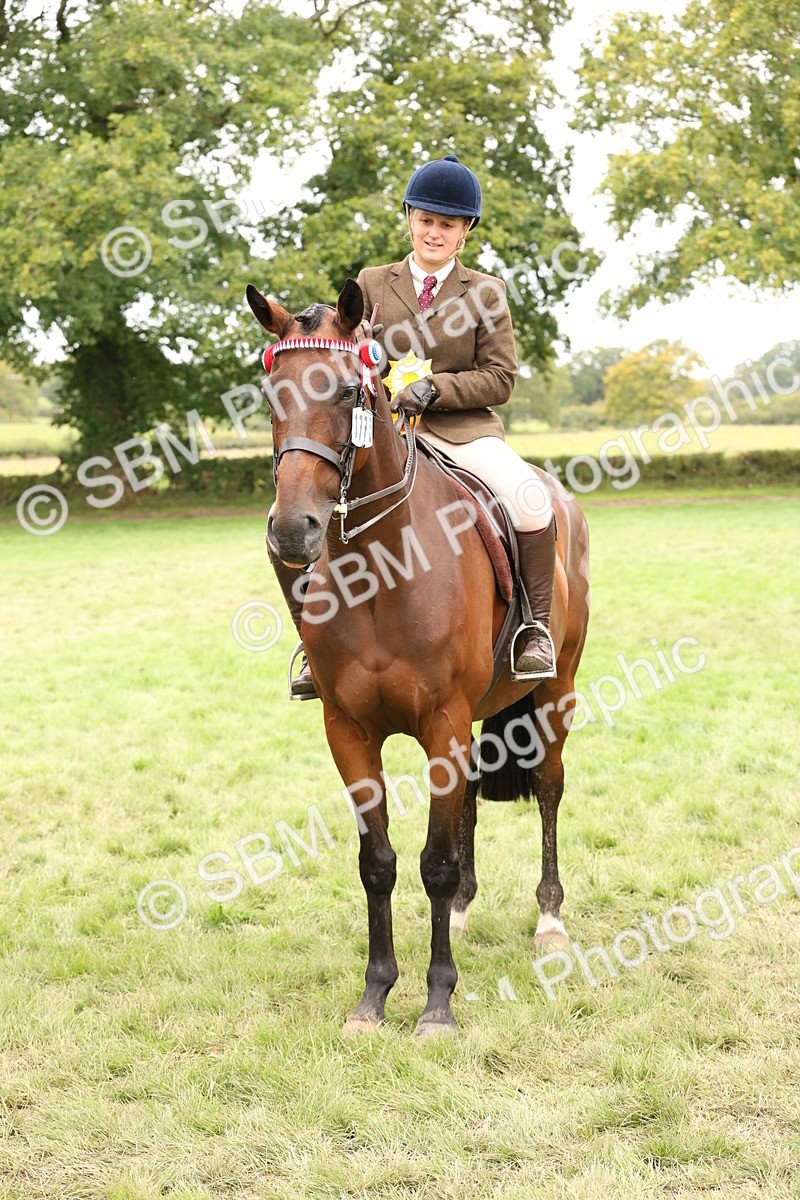 SBM_64338 - S65 - Riding Horse & Hack & Thoroughbred Ridden