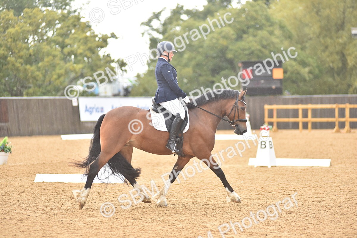 SBM_02082 - D7 - Small Tour Championship Prelim 2