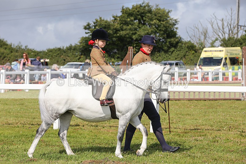 1X9A3560 - Class 29: Lead Rein SP/SHP