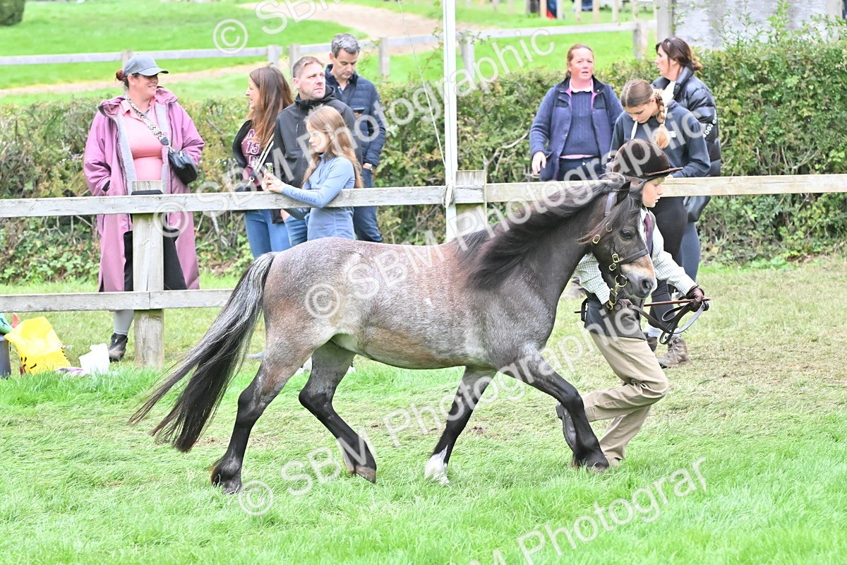 SBM_68554 - S42 - Junior Handler 9-12 Years