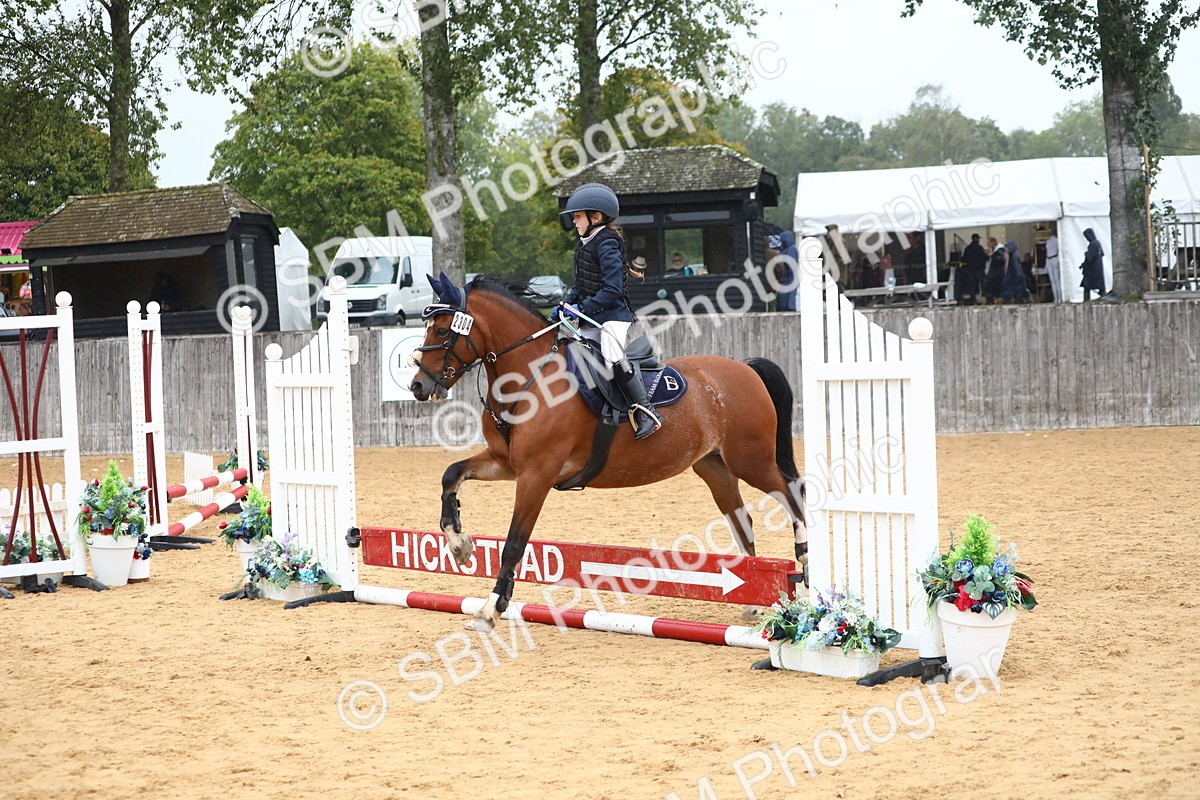 SBM_71641 - J4 - Mini Tour Junior Pony 45cm Championship