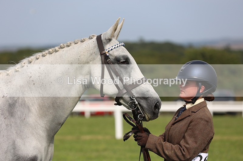 JPP_4301 - Class 25: Working Show Horse