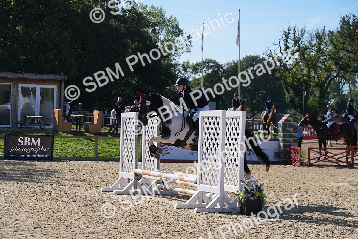 SBM_36175 - J 20 - Junior Horse 50cm Championship