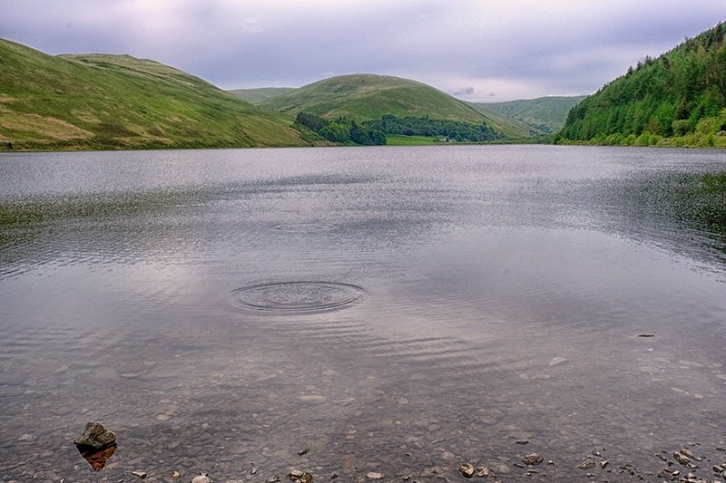 Loch Mary Borders F6137 - Water Element