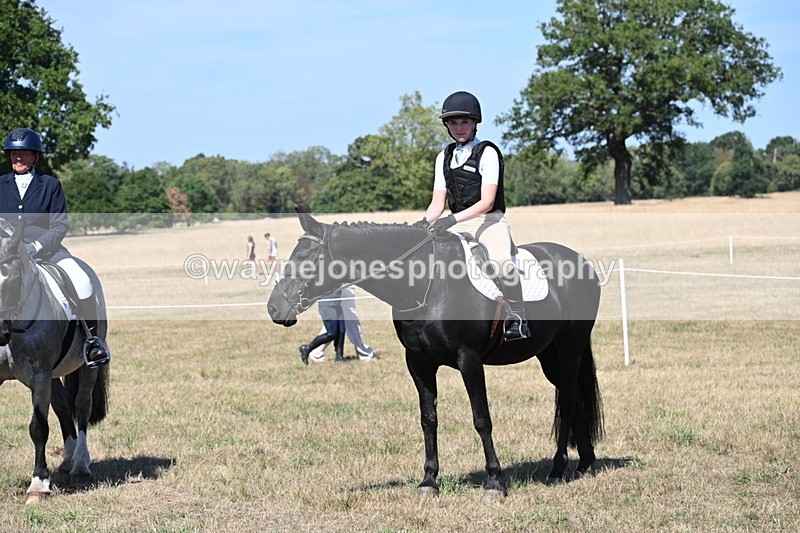 WJ6_9018 - Class 38 Ridden Riding Horse/Pony