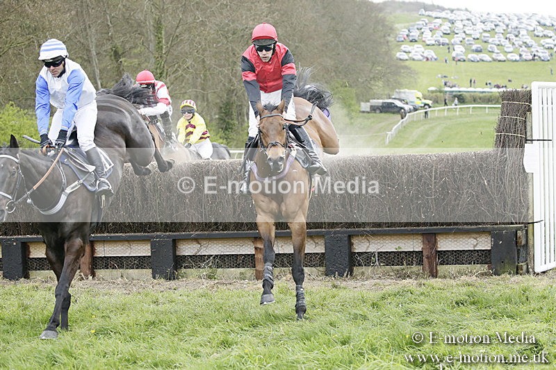 PtP 170417 451 - Old Berks Point-to-Point Lockinge 17/04/17