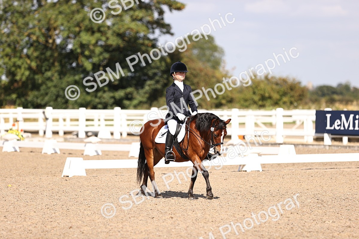 SBM_03518 - CLass 35 Intro 3