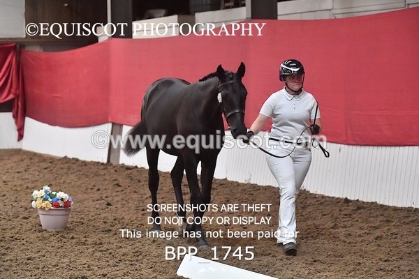 BPP_1745 - MORNING 9AM - 12PM