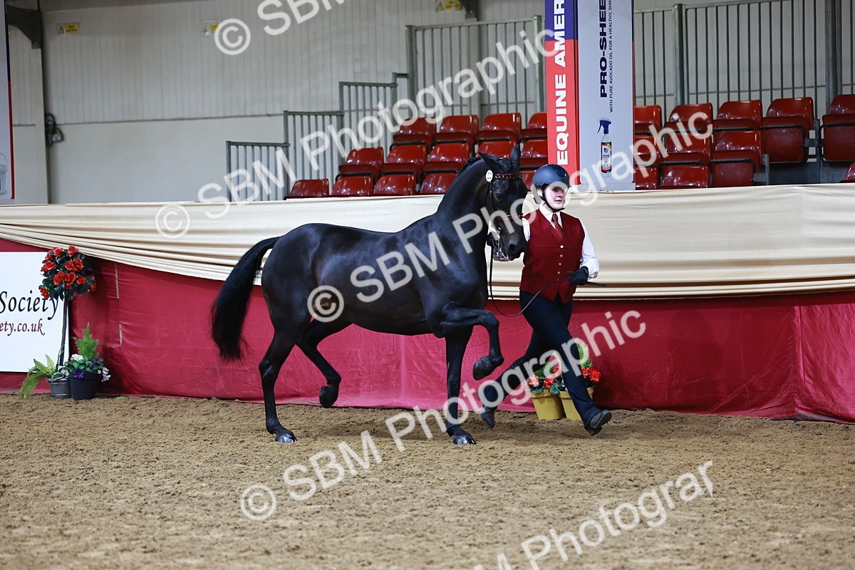 SBM_22160 - Class 902 - Supreme Final - IH Diamond