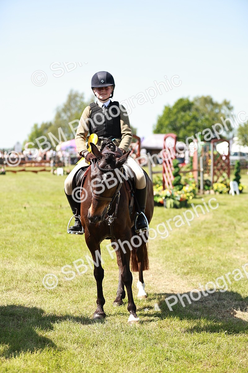 SBM_17674 - Class 112-113 - BSPS LIHS Working Sports Pony