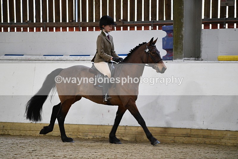 WJ5_7245 - Class 11 Ridden PC - RC Pony