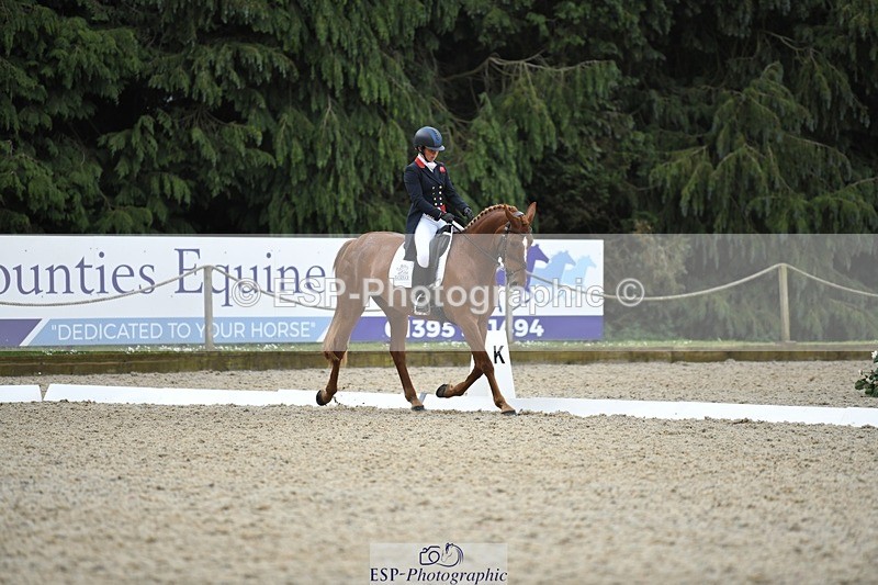 230525-125619-02056 - 112-BILLY_MAPLE-Kitty_King-WEDTrotUp+DR