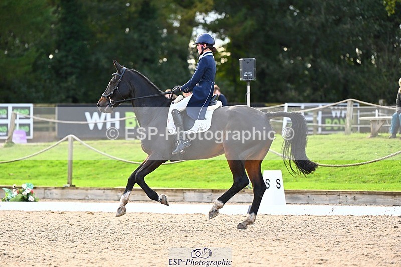 231021-143400-17874 - 358-ROYALE.MESSENGER-Anna.Singer-DR