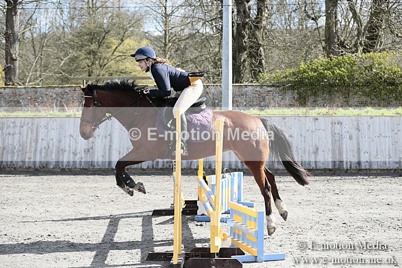 BVRC SJ 170319 181 - Bourne Valley Riding Club Showjumping 17/03/19