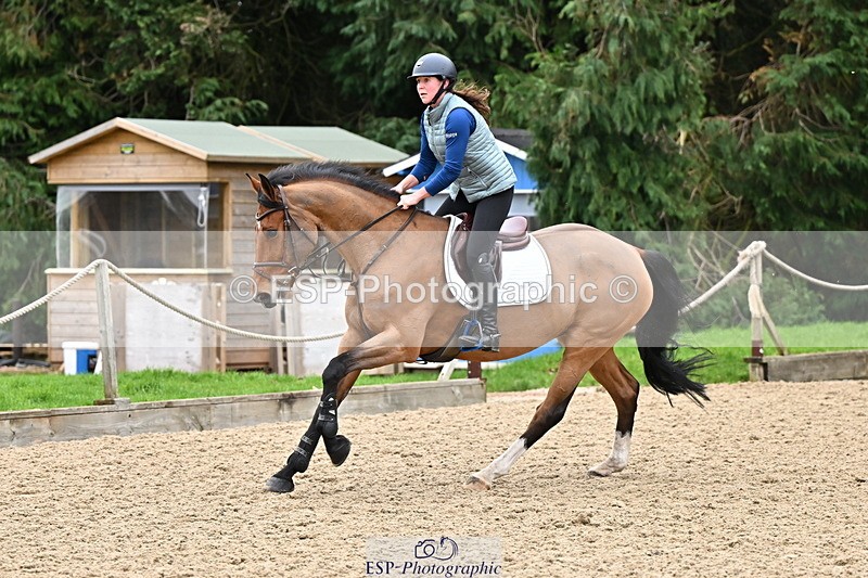 250201A-102428-00218 - Cls 01 Local Horse 90cm