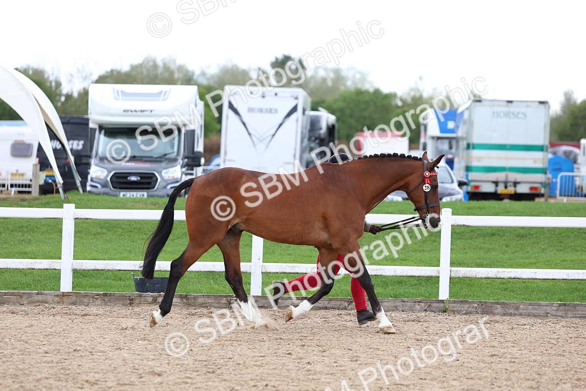 SBM_05008 - Class 27 - IH Competition Horse or Pony