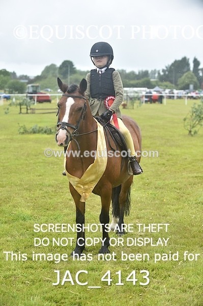 JAC_4143 - 40CM WORKING HUNTER